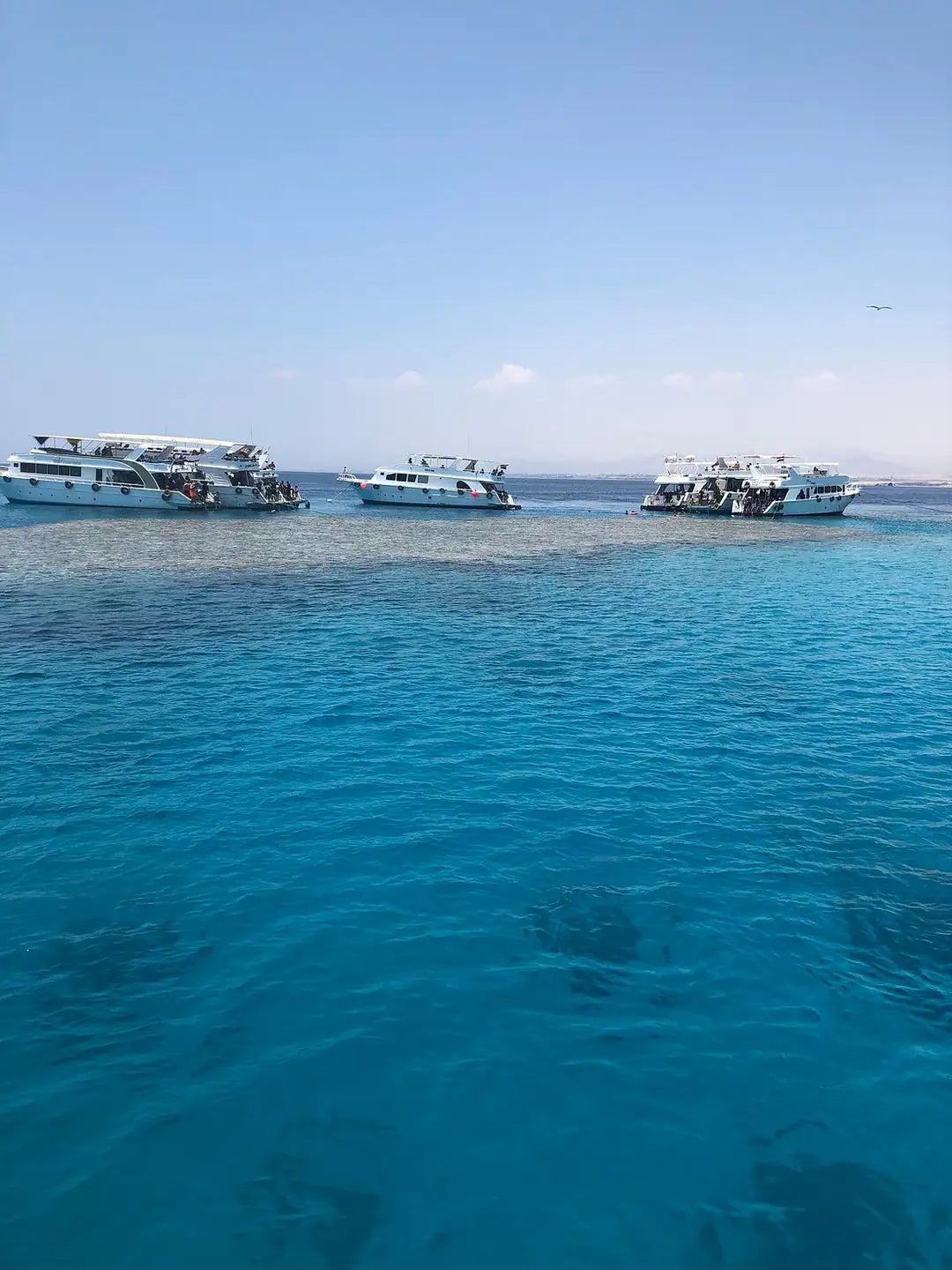 Sharm El Sheikh: Perjalanan Sehari Snorkeling ke Pulau Putih dan Ras Mohamed