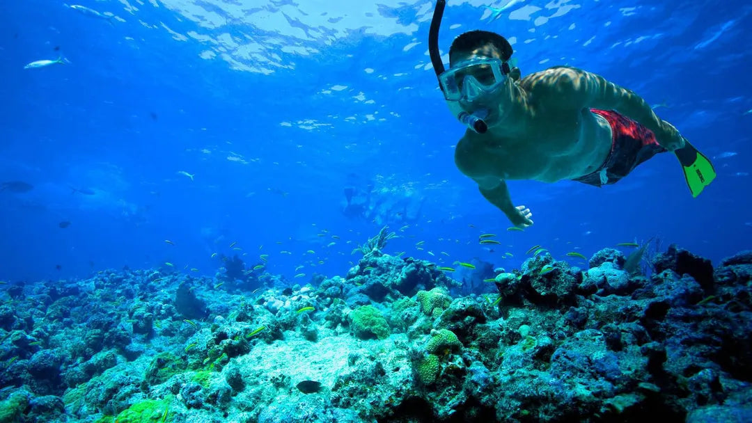 Sharm El Sheikh: Snorkeling Trip to Tiran Island by Boat