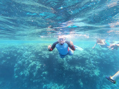 Σαρμ Ελ Σέιχ: Εκδρομή για snorkeling στο Ras Mohamed και στο White Island με γεύμα
