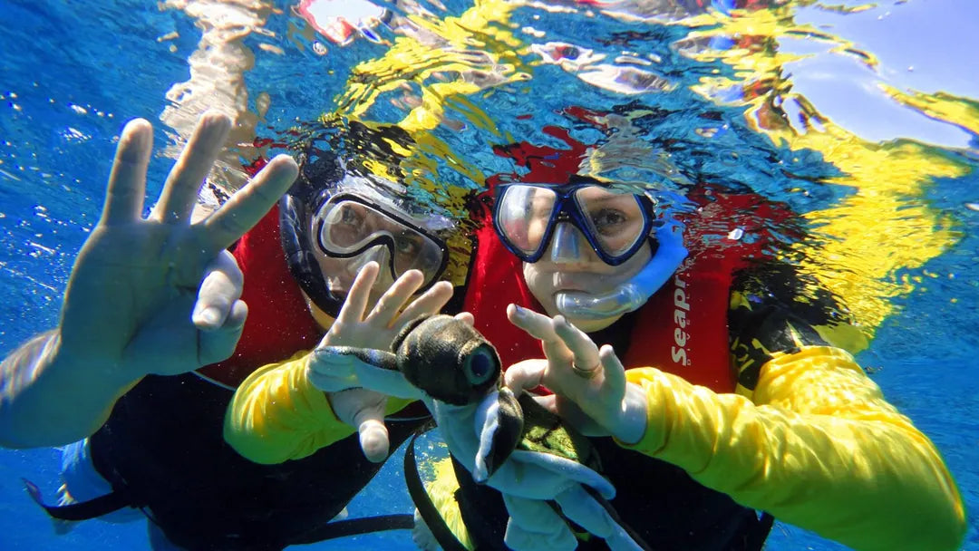 Sharm El Sheikh: Escursione in barca per snorkeling all’Isola di Tiran con pranzo