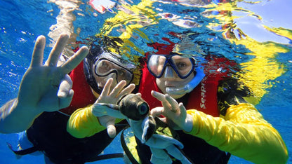 Sharm El Sheikh: Escursione in barca per snorkeling all’Isola di Tiran con pranzo