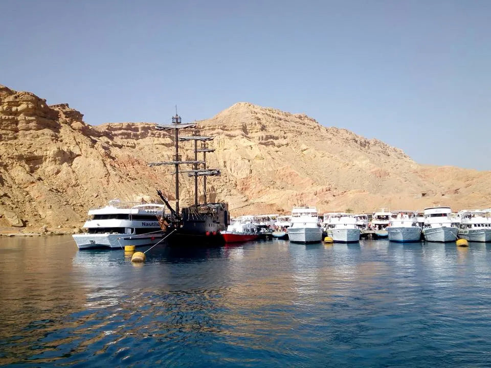 Sharm El Sheikh: Escursione in barca per snorkeling all’Isola di Tiran con pranzo