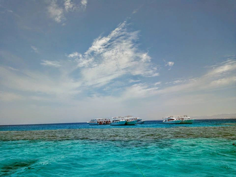 Sharm El Sheikh: Escursione in barca per snorkeling all’Isola di Tiran con pranzo