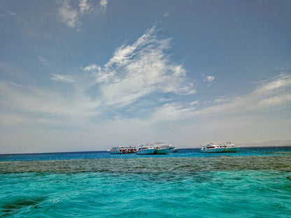 Sharm El Sheikh: Escursione in barca per snorkeling all’Isola di Tiran con pranzo