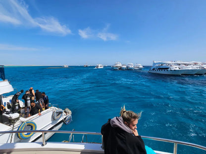 Sharm El Sheikh: Dykutflykt till Tiran Island för Certifierade Dykare