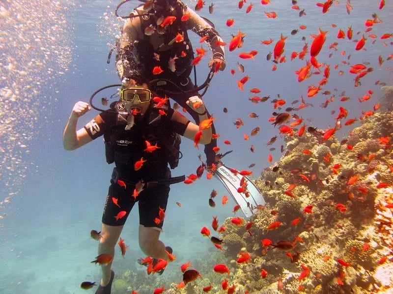 Sharm El Sheikh: Gita in barca all'Isola di Tiran