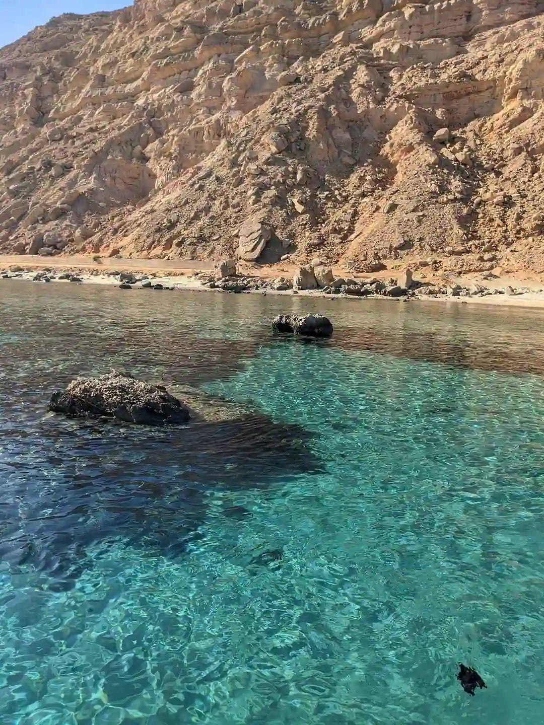 Sharm El Sheikh: Gita in barca all'Isola di Tiran