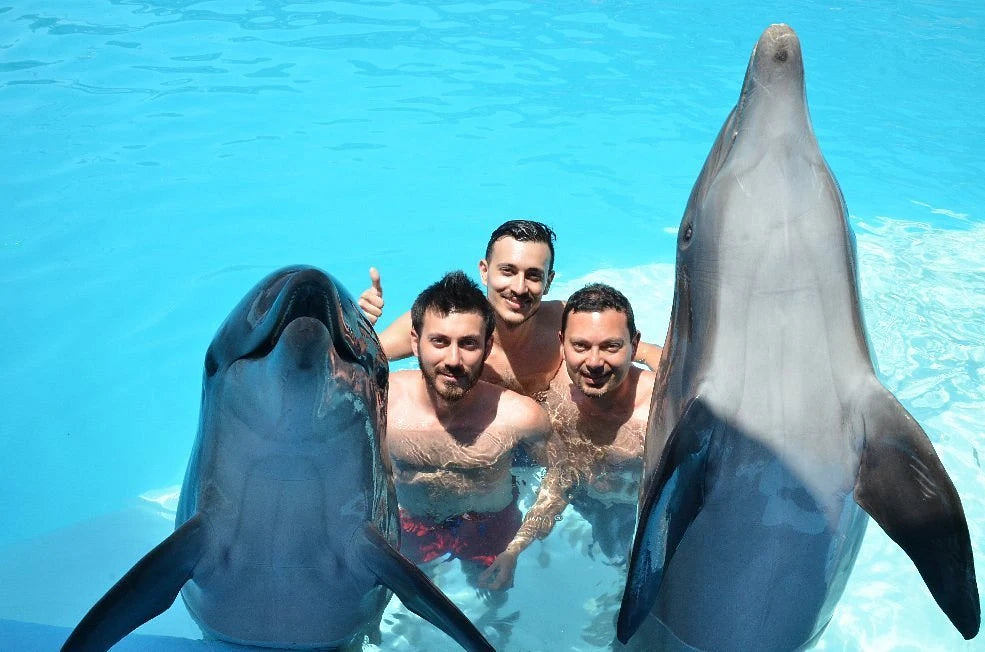 Sharm El Sheikh: Gita in barca all'Isola di Tiran