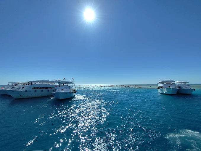 Sharm El Sheikh: Snorklingskryssning till White Island med lunch och transfer