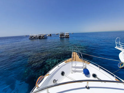 Sharm El Sheikh: Snorklingskryssning till White Island med lunch och transfer