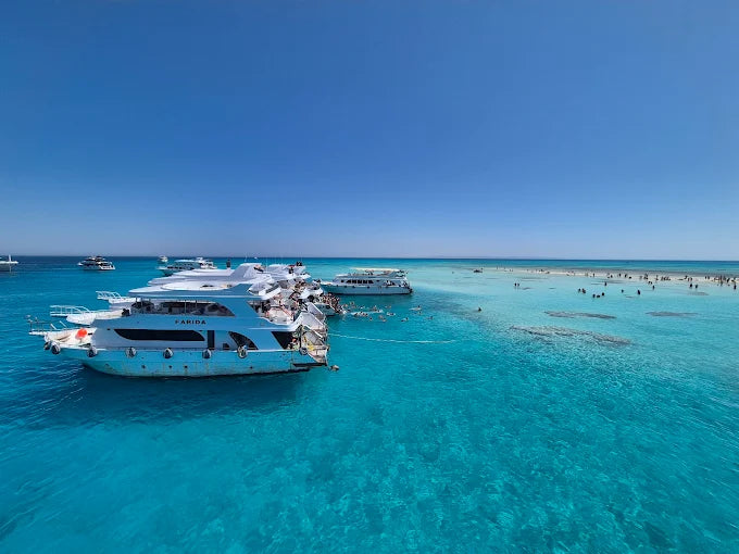 Sharm El Sheikh: Snorklingskryssning till White Island med lunch och transfer