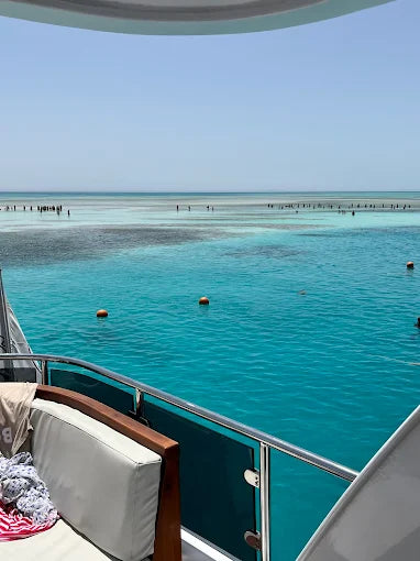 Sharm El Sheikh: Snorklingskryssning till White Island med lunch och transfer