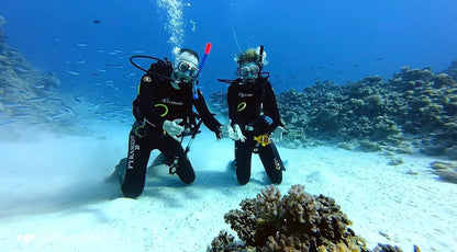 Sharm El Sheikh: PADI Open Water Diver Cursus