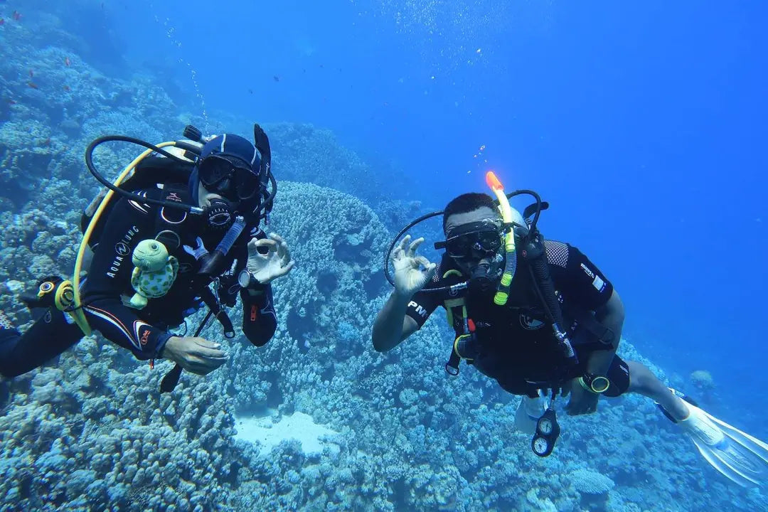Sharm El Sheikh: PADI Open Water Diver Cursus