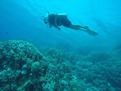 Sharm El Sheikh: PADI Open Water Diver Cursus