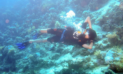 Sharm El Sheikh: PADI Open Water Diver Cursus