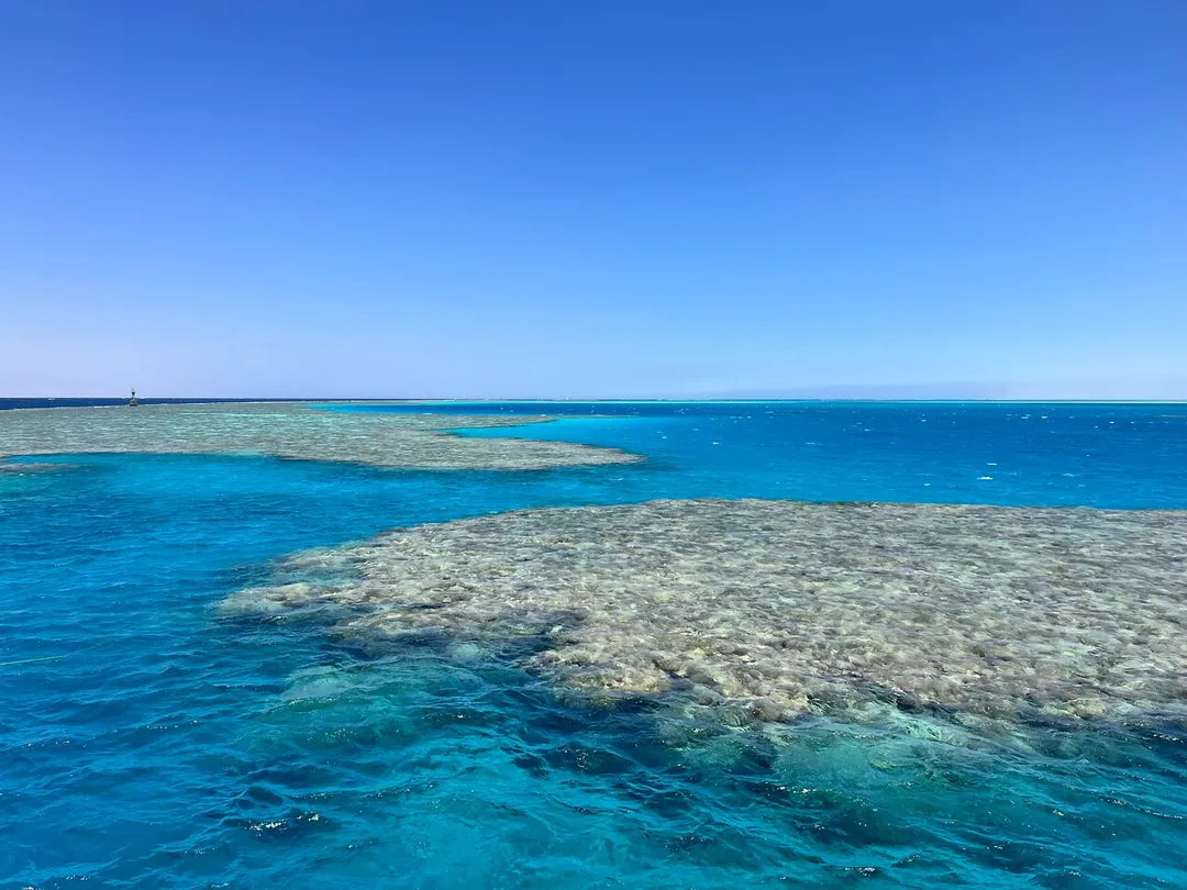 Sharm El Sheikh: PADI Open Water Diver Cursus