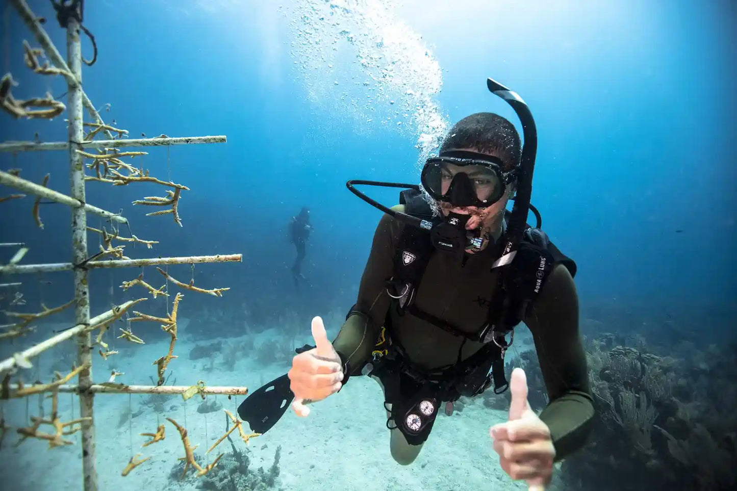 シャルム・エル・シェイク：2日間 PADI オープン・ウォーター・ダイバー・コース