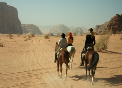 Charm el-Cheikh : balade à cheval guidée le matin dans le désert