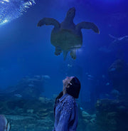Hurghada: Grand Aquarium Entrance Tickets