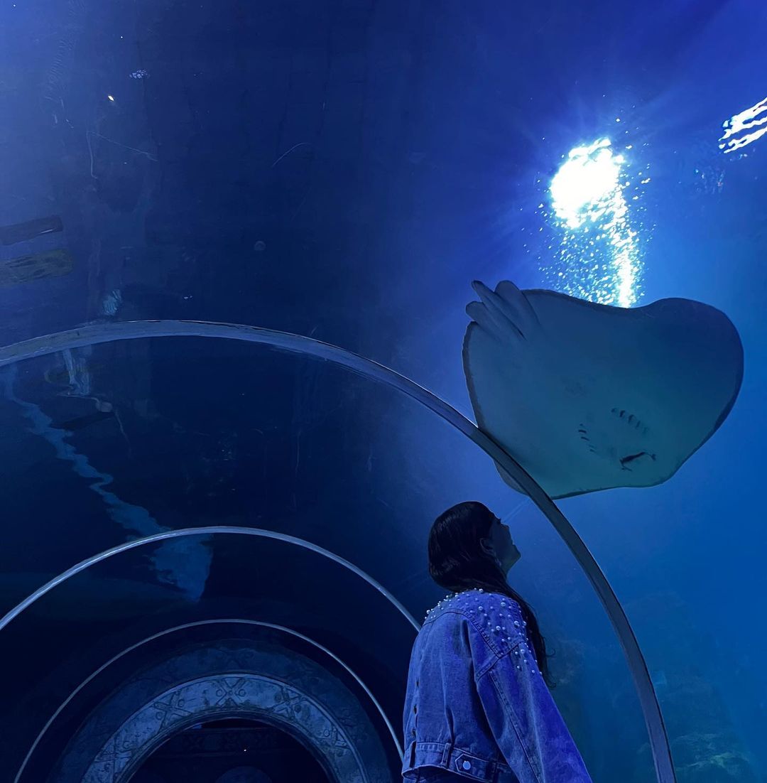 Hurghada: Grand Aquarium Entrance Tickets