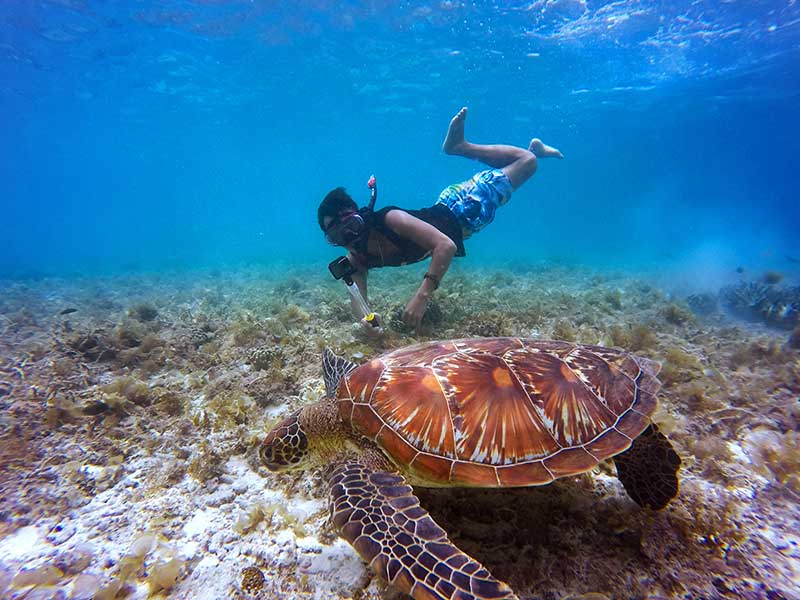 Из Дубая: Discovery Scuba Diving для начинающих в Фуджейре