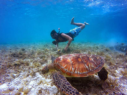 Dubai: PADI Basic Scuba Diving Course