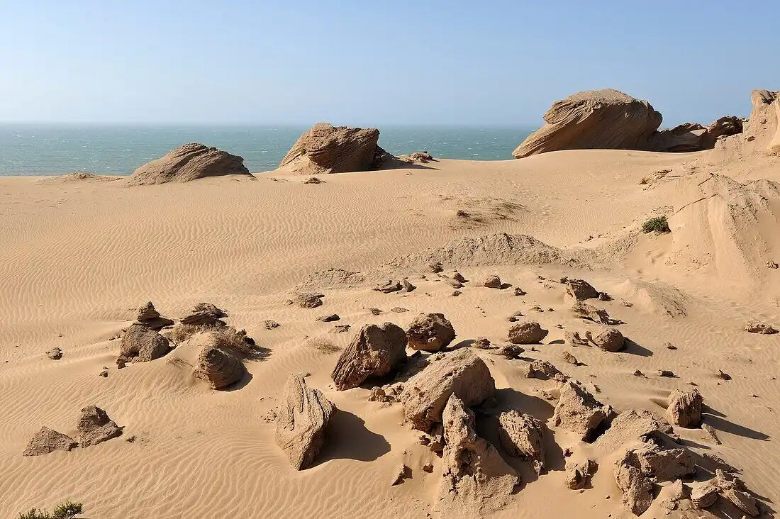 From Agadir: tour de sandboard y dunas de Timlalin con paseo en camello opcional