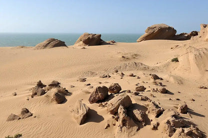 From Agadir: tour de sandboard y dunas de Timlalin con paseo en camello opcional