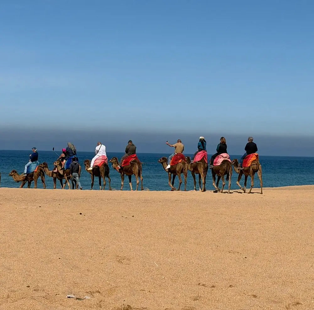 Tanger: Halbtagestour mit Besuch in Asilah und Kamelritt