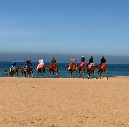 Tanger: Halbtagestour mit Besuch in Asilah und Kamelritt