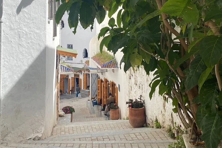 Tangeri: tour privato della città con giro in cammello