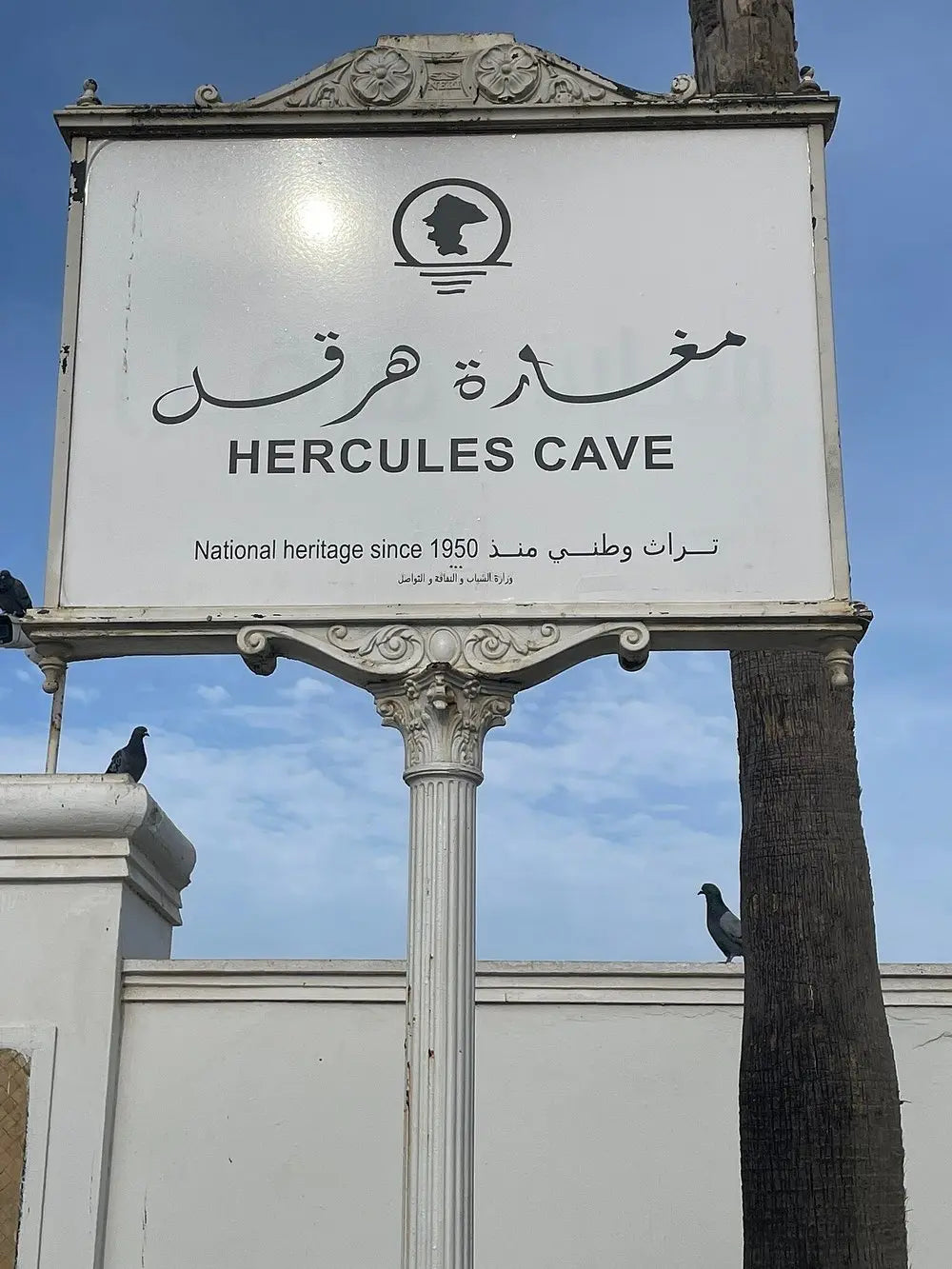 From Tanger : points forts de la ville, balade à dos de chameau sur la côte atlantique et excursion privée à Chefchaouen