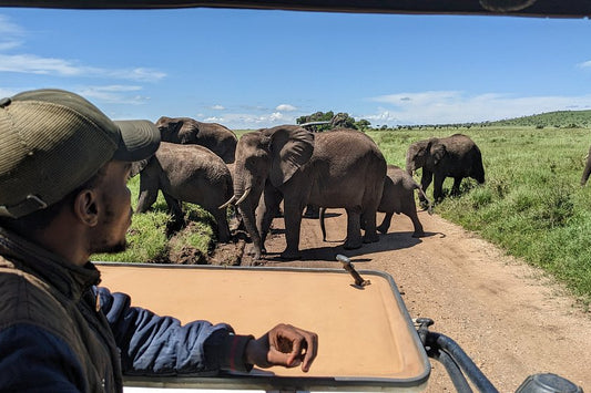 Arusha: 6-daagse privésafari naar Serengeti, Ngorongoro en Tarangire