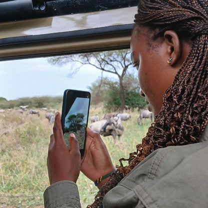 Arusha: 6-tägige private Safari in die Serengeti, zum Ngorongoro-Krater und nach Tarangire