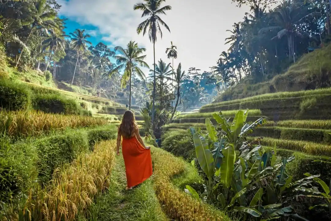 Ubud: Tur Sepeda Quad ATV dengan Ayunan Hutan Opsional dan Teras Sawah