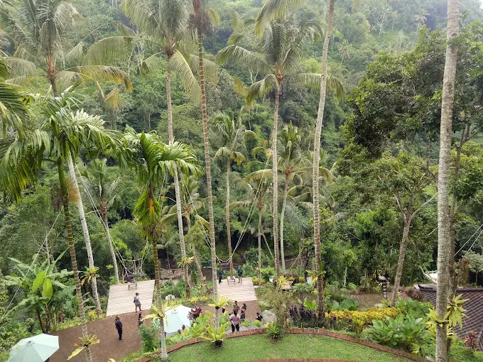Ubud: Tur Sepeda Quad ATV dengan Ayunan Hutan Opsional dan Teras Sawah