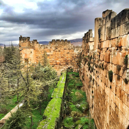 Beirut: Tur privat cu ghid la Baablek și Anjar