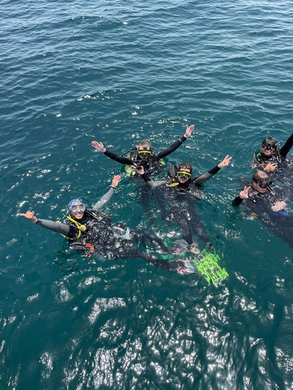 Из Дубая: Discovery Scuba Diving для начинающих в Фуджейре