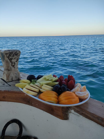 El Gouna: Private Boat Day Trip to Bayoud