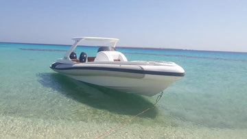 El Gouna: Private Speedboat Snorkeling Trip to Dolphin House