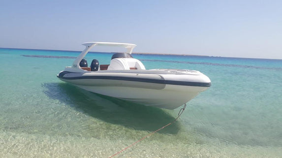 El Gouna: Private Speedboat Snorkeling Trip to Dolphin House