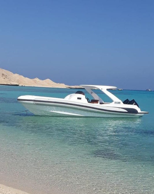 El Gouna: Prywatna wycieczka łodzią motorową z rurką do Dolphin House