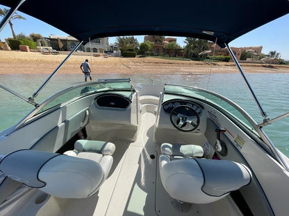 El Gouna: Private Speedboat Trip to Bayoud (Sea Ray 185 Mayar)