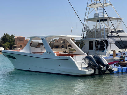 El Gouna: Private Boat Day Trip to Bayoud or Tawilah Island