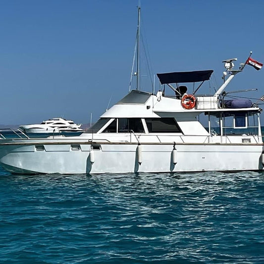 El Gouna: Private Bootsfahrt nach Bayou oder Tawilah Island