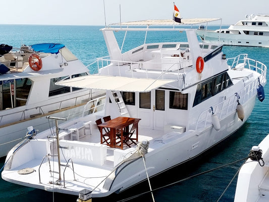 El Gouna: Private Boat Trip to Bayoud or Tawilah Island