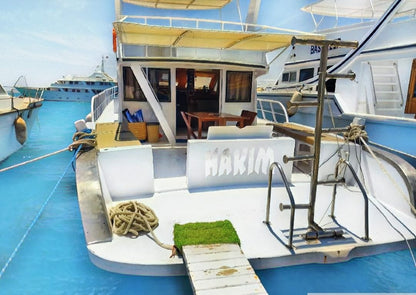 El Gouna: Private Boat Trip to Bayoud or Tawilah Island