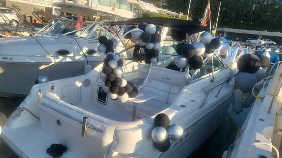 Jounieh: Închiriere de iahturi Seaway 27FT de la La Marina Dbayeh