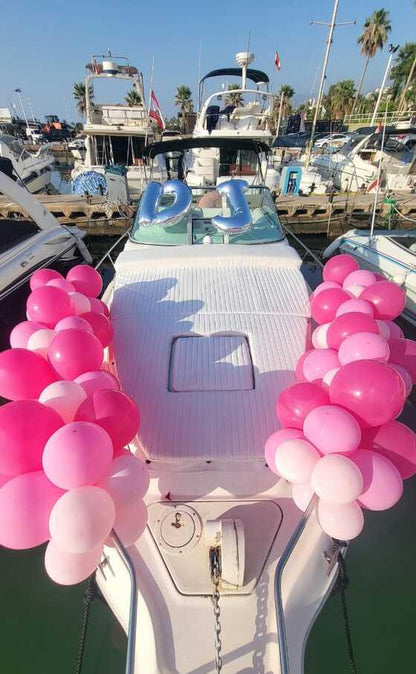 Jounieh: Închiriere de iahturi Seaway 27FT de la La Marina Dbayeh
